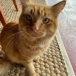 Meet your Posher, Gabriella